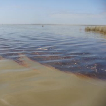 Oil Spill (TN)